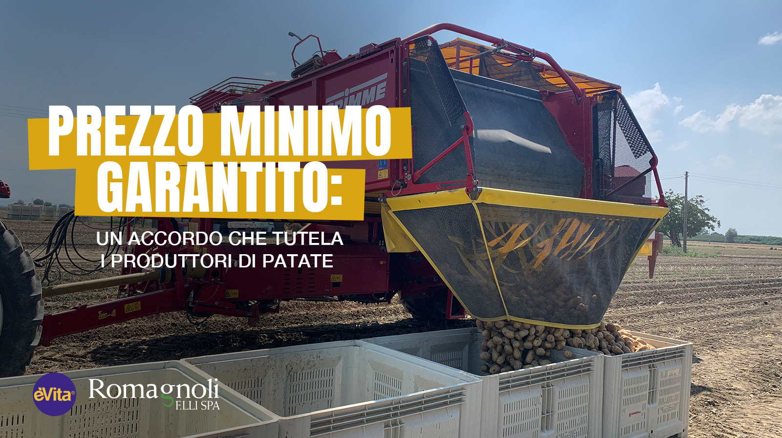Prezzo minimo garantito: un accordo che tutela i produttori di patate 